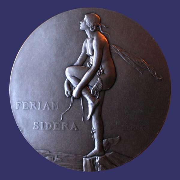 Dammann, Paul-Marcel, Ferium Sidera (Reach for the Stars), Aviation Medal, Obverse
Keywords: birks_nude_female