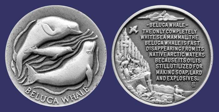 Wildlife Series:  Beluga Whale
