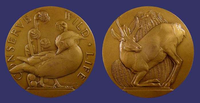 Society of Medalists Issue No. 18, Conserve Wildlife, 1938
[b]From the collection of John Birks[/b]
